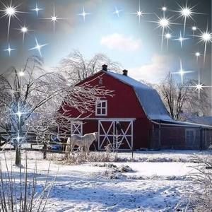 Meet your Posher, Bobbie